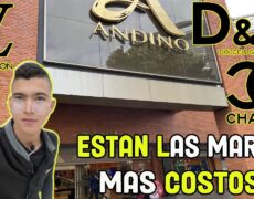 Descubre la mejor experiencia de compras en Bogotá: Andino Shopping Mall – ¡Ideal para tu viaje de turismo!