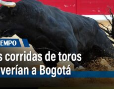 Descubre la emoción de las corridas de toros en Bogotá: una experiencia imperdible para tu viaje de turismo