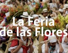 Descubre la belleza de Bogotá en la Feria de las Flores: Un viaje imperdible para los amantes del turismo