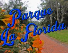 Descubre la magia del turismo en el Parque de La Floresta en Bogotá