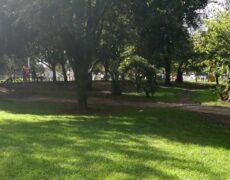 Descubre la magia del Parque de La Luz en Bogotá: una experiencia imperdible de turismo y viaje