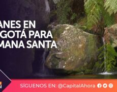 Descubre la magia de la Semana Santa en Bogotá: Un destino imperdible para tu viaje de turismo